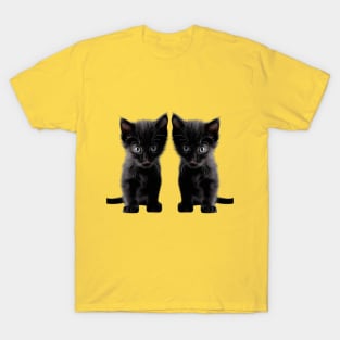 black cat- two black cats T-Shirt